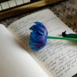 Wersy, które zostają: 11 sprytnych metod na zapamiętywanie poezji bez stresu