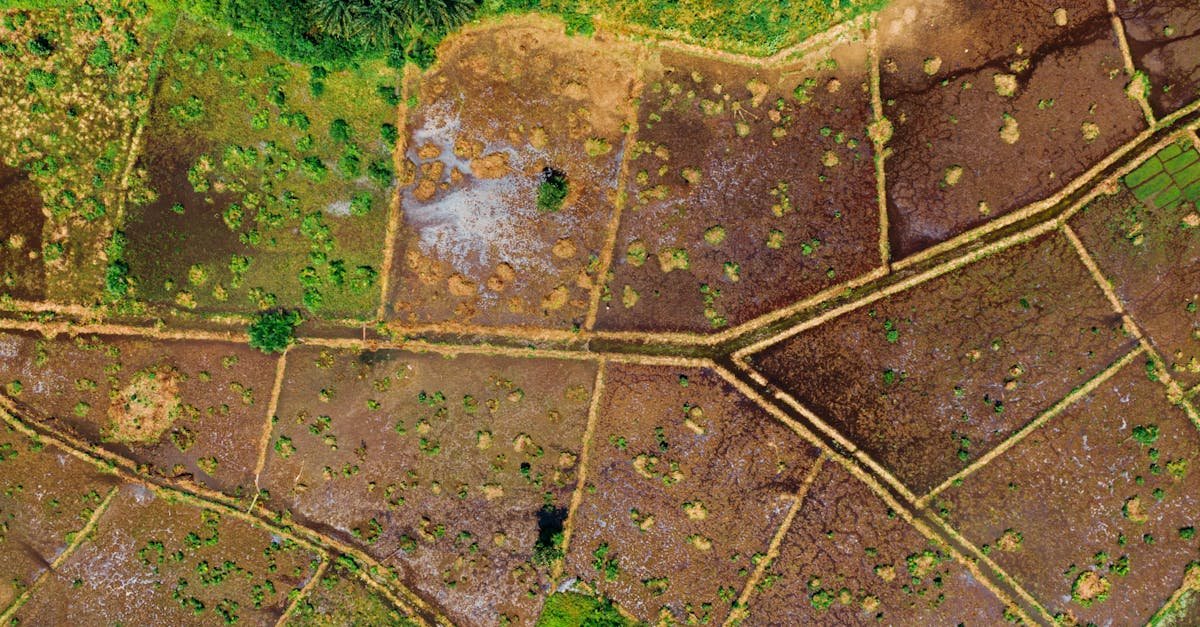 Granice działki bez wątpliwości: jak precyzyjnie je sprawdzić metodami geodezyjnymi – krok po kroku